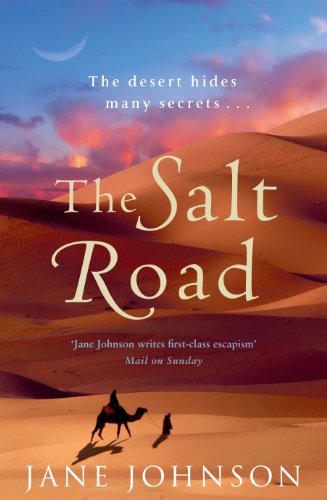 Stock image for The Salt Road for sale by WorldofBooks