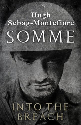 Stock image for Somme: Into the Breach for sale by WorldofBooks