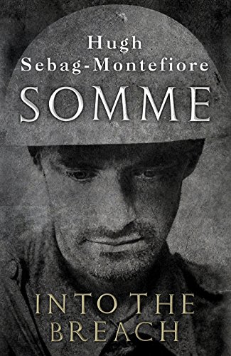Stock image for Somme: Into the Breach for sale by Goldstone Books