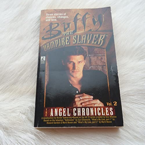 The Angel Chronicles: Volume 2 (Buffy the Vampire Slayer Angel Chronicles)