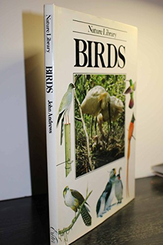 Beispielbild fr Birds #05593 zum Verkauf von Wonder Book