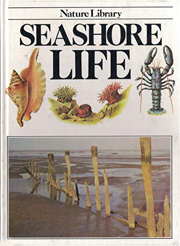 Stock image for Seashore life (Nature library) for sale by Wonder Book