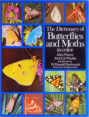 Stock image for The Dictionary of Butterflies and Moths in Color for sale by Irish Booksellers
