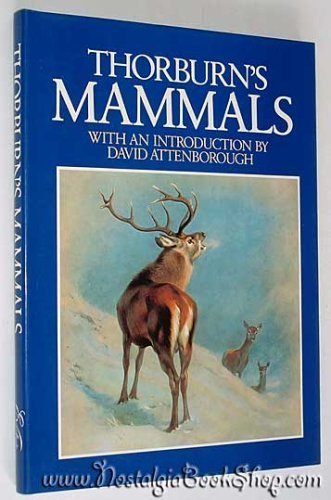 Stock image for Thorburn's Mammals for sale by AardBooks