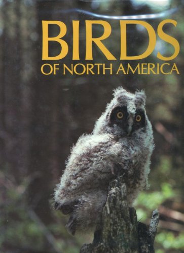 Stock image for Birds of North America for sale by Jenson Books Inc