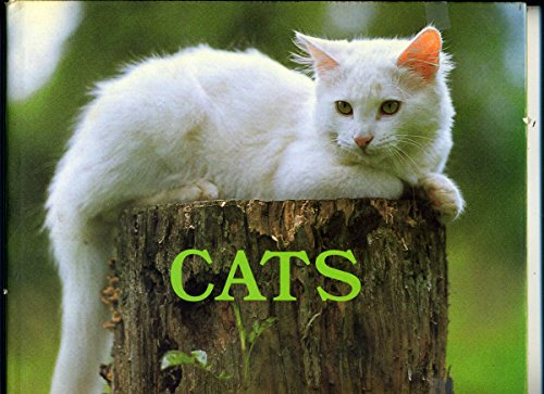 Stock image for Cats/09399 for sale by Isle of Books