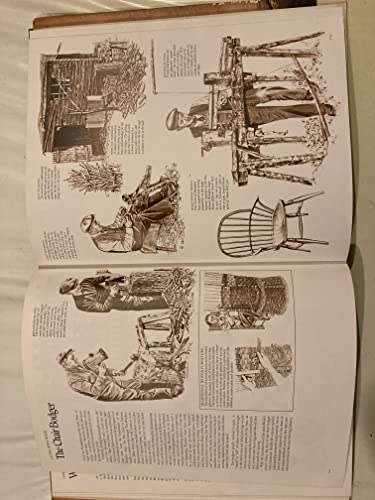 Imagen de archivo de The International Book of Wood. a la venta por Anybook.com