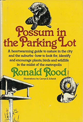 Beispielbild fr Possum in the Parking Lot zum Verkauf von Wonder Book