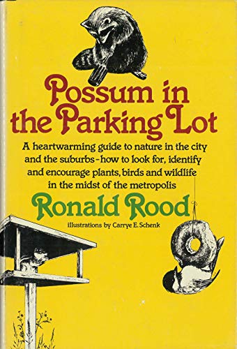 9780671225889: Possum in the Parking Lot