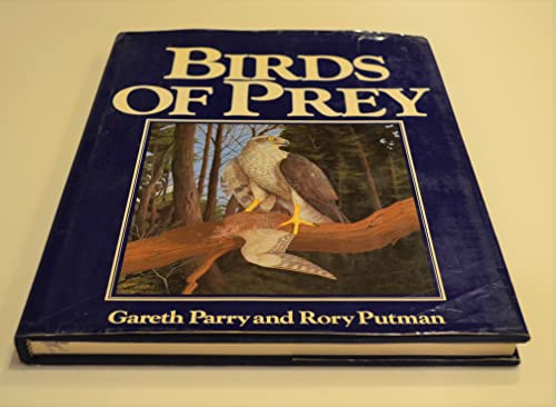 Stock image for Birds of Prey for sale by Wonder Book