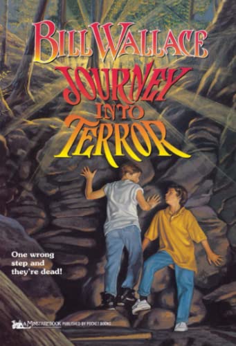 9780671519995: Journey into Terror (Paperback)