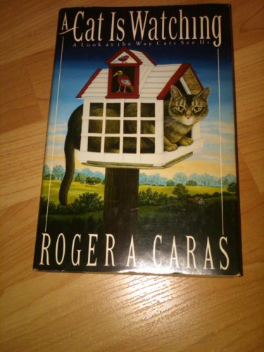Beispielbild fr A Cat Is Watching: A Look at the Way Cats See Us zum Verkauf von Wonder Book
