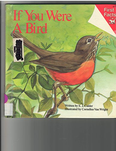 Stock image for If You Were a Bird (First Facts: Everyday Character Education) for sale by HPB-Emerald