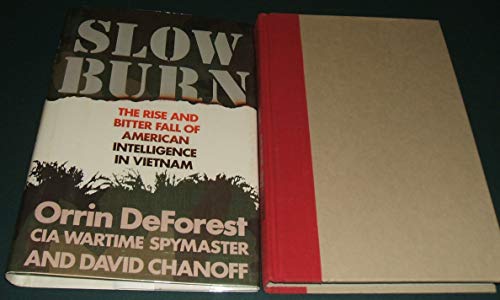 Imagen de archivo de Slow Burn: The Rise and Bitter Fall of American Intelligence in Vietnam a la venta por Wonder Book
