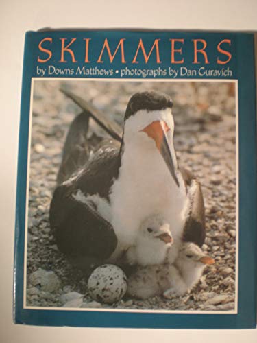 Imagen de archivo de Skimmers a la venta por SecondSale