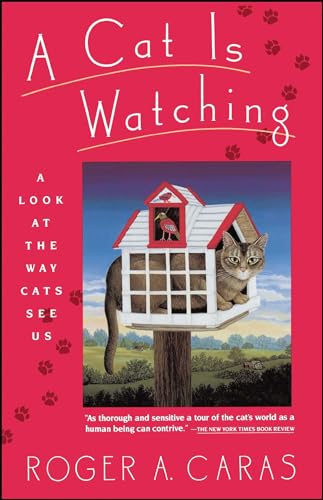 Beispielbild fr A Cat is Watching: A Look at the Way Cats See Us zum Verkauf von WorldofBooks