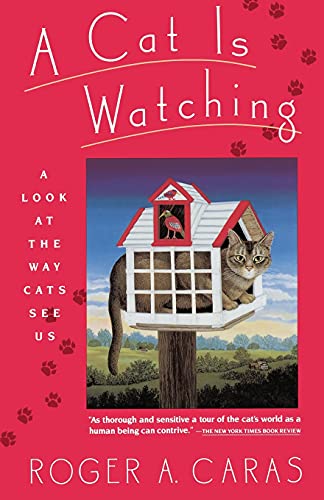 9780671724436: Cat Is Watching: A Look at the Way Cats See Us