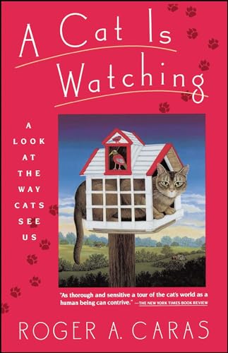 Stock image for A Cat is Watching for sale by Jenson Books Inc