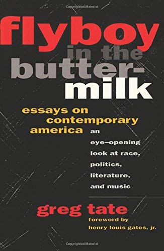 9780671729653: Flyboy in the Buttermilk: Essays on Contemporary America
