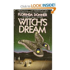 9780671729950: The Witch's Dream