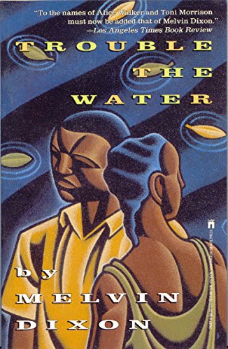Beispielbild fr Trouble the Water zum Verkauf von Wonder Book