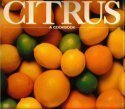 Beispielbild fr Citrus: A Cookbook zum Verkauf von Wonder Book