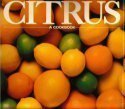 Imagen de archivo de Citrus: A Cookbook a la venta por Wonder Book