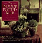 Beispielbild fr The Indoor Potted Bulb ~ Decorative Container Gardening with Flowering Bulbs zum Verkauf von Wonder Book