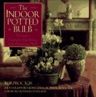 Stock image for Indoor Potted Bulb : Decorative Container Gardening with Flowering Bulbs for sale by Better World Books