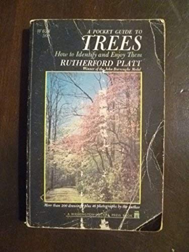 Stock image for A Pocket Guide to Trees for sale by ThriftBooks-Atlanta