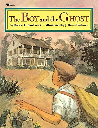 Imagen de archivo de The Boy and the Ghost a la venta por Orion Tech