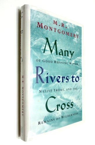 Beispielbild fr Many Rivers to Cross zum Verkauf von Better World Books