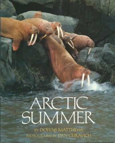 9780671795399: Arctic Summer
