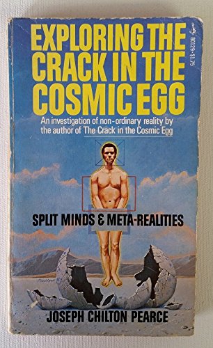 Stock image for Exploring the Crack in the Cosmic Egg for sale by HPB-Diamond