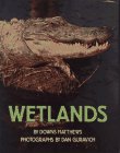 Imagen de archivo de Wetlands a la venta por Wonder Book