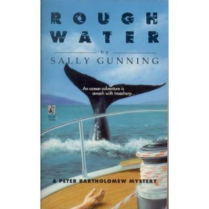 Rough Water (9780671871376) by Sally Gunning