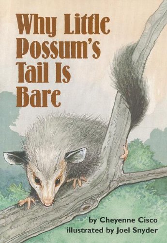 Beispielbild fr Why Little Possum's Tail Is Bare zum Verkauf von Better World Books