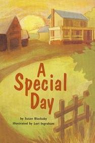 9780673624963: A Special Day (Scott Foresman Reading: Red Level)