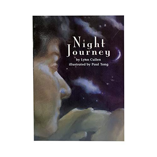 Stock image for Night Journey (Leveled Reader 138B Scott Foresman) for sale by Wonder Book