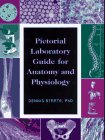 Pictorial Laboratory Guide for Anatomy and Physiology (9780673992253) by Strete, Dennis