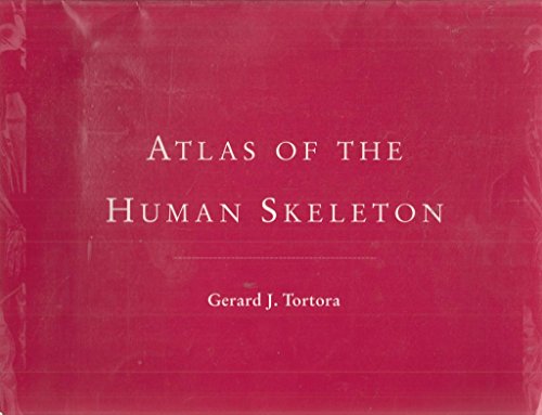 Beispielbild für Atlas of the Human Skeleton zum Verkauf von SecondSale