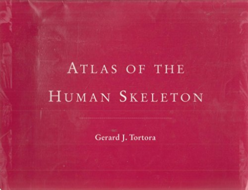 Stock image for Atlas of the Human Skeleton for sale by Better World Books: West