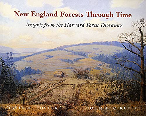Beispielbild fr New England Forests Through Time : Insights from the Harvard Forest Dioramas zum Verkauf von BooksRun
