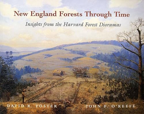 9780674003446: New England Forests Through Time : Insights from the Harvard Forest Dioramas