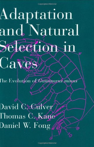 Imagen de archivo de Adaptation and Natural Selection in Caves: The Evolution of Gammarus minus a la venta por Half Price Books Inc.
