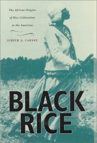 9780674004528: Black Rice: The African Origins of Rice Cultivation in the Americas