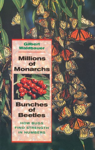 Stock image for Millions of Monarchs, Bunches of Beetles : How Bugs Find Strength in Numbers for sale by Better World Books