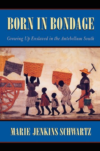 Stock image for Born in Bondage: Growing Up Enslaved in the Antebellum South for sale by ThriftBooks-Dallas