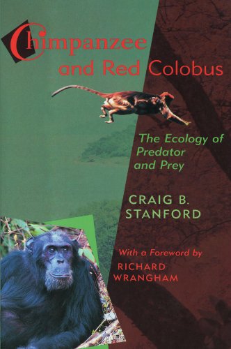 Stock image for Chimpanzee and Red Colobus: The Ecology of Predator and Prey for sale by GF Books, Inc.