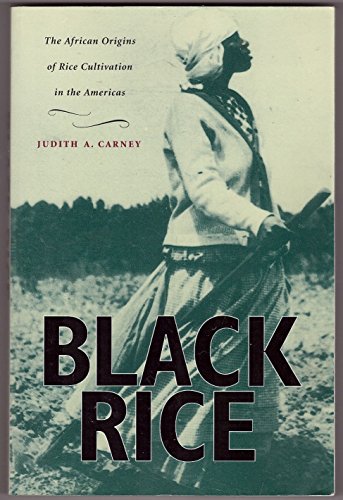Stock image for Black Rice: The African Origins of Rice Cultivation in the Americas for sale by HPB-Red